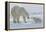 Polar Bear (Ursus Maritimus) and Cubs-David Jenkins-Framed Premier Image Canvas