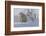 Polar Bear (Ursus Maritimus) and Cubs-David Jenkins-Framed Photographic Print