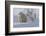 Polar Bear (Ursus Maritimus) and Cubs-David Jenkins-Framed Photographic Print