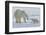 Polar Bear (Ursus Maritimus) and Cubs-David Jenkins-Framed Photographic Print