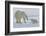 Polar Bear (Ursus Maritimus) and Cubs-David Jenkins-Framed Photographic Print