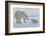 Polar Bear (Ursus Maritimus) and Cubs-David Jenkins-Framed Photographic Print