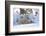 Polar Bear (Ursus Maritimus) and Cubs-David Jenkins-Framed Photographic Print