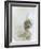 Polar Bear (Ursus Maritimus), Churchill, Hudson Bay, Manitoba, Canada-Thorsten Milse-Framed Photographic Print