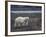 Polar Bear, Ursus Maritimus, Churchill, Manitoba, Canada-Thorsten Milse-Framed Photographic Print