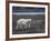 Polar Bear, Ursus Maritimus, Churchill, Manitoba, Canada-Thorsten Milse-Framed Photographic Print