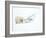 Polar Bear (Ursus Maritimus) Cub Playing with Branch,Churchill, Canada, November-Danny Green-Framed Photographic Print