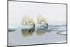 Polar bear (Ursus maritimus) cubs on an ice floe in the fog in Davis Strait-Michael Nolan-Mounted Photographic Print