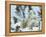 Polar Bear (Ursus Maritimus) Mother with Triplets, Wapusk National Park, Churchill, Manitoba-Thorsten Milse-Framed Premier Image Canvas