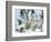 Polar Bear (Ursus Maritimus) Mother with Triplets, Wapusk National Park, Churchill, Manitoba-Thorsten Milse-Framed Photographic Print