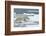 Polar Bear (Ursus Maritimus) Walking over Sea Ice, Moselbukta, Svalbard, Norway, July 2008-de la-Framed Photographic Print