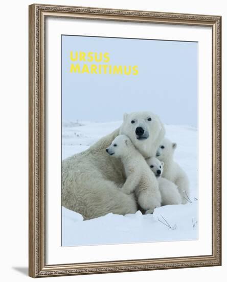 Polar Bear (Ursus Maritimus)-Thorsten Milse-Framed Art Print