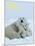Polar Bear (Ursus Maritimus)-Thorsten Milse-Mounted Art Print