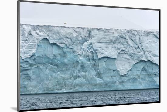 Polar bear walking on Champ Island glacier, Franz Josef Land, Russian Arctic-Sergey Gorshkov-Mounted Photographic Print
