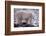 Polar Bear Walking on Rocks-DLILLC-Framed Photographic Print