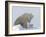 Polar Bear with a Cub, (Ursus Maritimus), Churchill, Manitoba, Canada-Thorsten Milse-Framed Premium Photographic Print