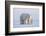 Polar bear with cub standing on ice, Svalbard, Norway-Danny Green-Framed Photographic Print