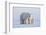 Polar bear with cub standing on ice, Svalbard, Norway-Danny Green-Framed Photographic Print