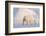 Polar bear with cub walking across ice, Svalbard, Norway-Danny Green-Framed Photographic Print