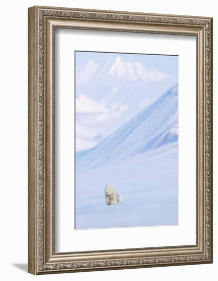 Polar bear with cub walking with mountains in background-Danny Green-Framed Photographic Print