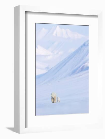 Polar bear with cub walking with mountains in background-Danny Green-Framed Photographic Print