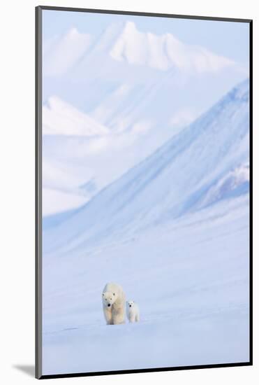 Polar bear with cub walking with mountains in background-Danny Green-Mounted Photographic Print