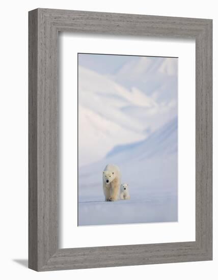 Polar bear with cub walking with mountains in background-Danny Green-Framed Photographic Print
