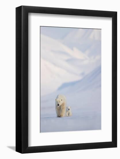 Polar bear with cub walking with mountains in background-Danny Green-Framed Photographic Print