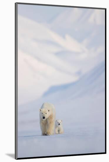 Polar bear with cub walking with mountains in background-Danny Green-Mounted Photographic Print