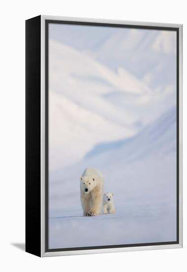 Polar bear with cub walking with mountains in background-Danny Green-Framed Premier Image Canvas