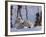 Polar Bear with Cubs, (Ursus Maritimus), Churchill, Manitoba, Canada-Thorsten Milse-Framed Photographic Print