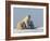 Polar Bear with Cubs, (Ursus Maritimus), Churchill, Manitoba, Canada-Thorsten Milse-Framed Photographic Print