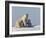 Polar Bear with Cubs, (Ursus Maritimus), Churchill, Manitoba, Canada-Thorsten Milse-Framed Photographic Print