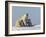 Polar Bear with Cubs, (Ursus Maritimus), Churchill, Manitoba, Canada-Thorsten Milse-Framed Photographic Print