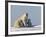 Polar Bear with Cubs, (Ursus Maritimus), Churchill, Manitoba, Canada-Thorsten Milse-Framed Photographic Print