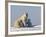 Polar Bear with Cubs, (Ursus Maritimus), Churchill, Manitoba, Canada-Thorsten Milse-Framed Photographic Print