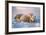 Polar Bear with Her Cubs-outdoorsman-Framed Photographic Print