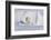 Polar Bear with Spring Cub, ANWR, Alaska, USA-Steve Kazlowski-Framed Photographic Print