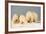 Polar Bear with Two 2-Year-Old Cubs, Bernard Spit, ANWR, Alaska, USA-Steve Kazlowski-Framed Photographic Print