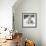 Polar Bear with Two Cubs-null-Framed Photographic Print displayed on a wall