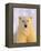 Polar Bear Yearling-John Conrad-Framed Premier Image Canvas