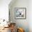 Polar Bear-James Grey-Framed Art Print displayed on a wall