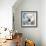 Polar Bear-James Grey-Framed Art Print displayed on a wall