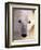 Polar bear-Kevin Schafer-Framed Premium Photographic Print