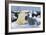 Polar Bear-Doug Allan-Framed Photographic Print