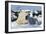 Polar Bear-Doug Allan-Framed Photographic Print