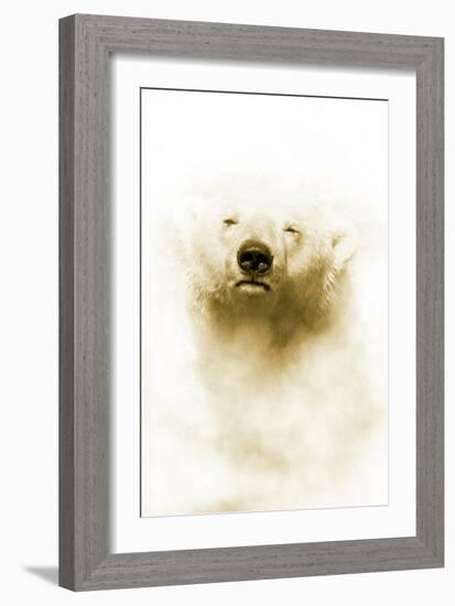 Polar Bear-Victor Habbick-Framed Photographic Print