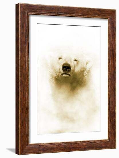 Polar Bear-Victor Habbick-Framed Photographic Print
