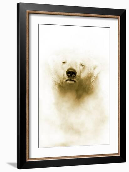 Polar Bear-Victor Habbick-Framed Photographic Print