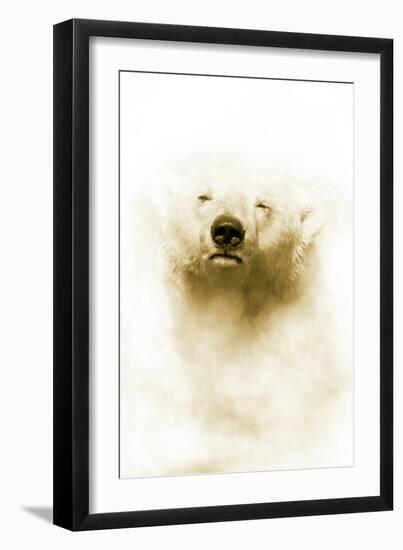 Polar Bear-Victor Habbick-Framed Photographic Print